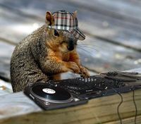 Dj_Doogie