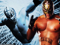 rey_mysterio_fan