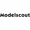 _modelscout_