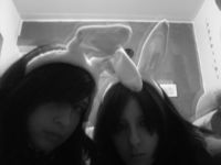 _the-bunnys_