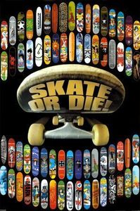 -Sk8te-or-DIE-