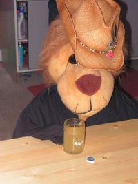 alcoholic_bear