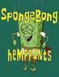 sponge-bong