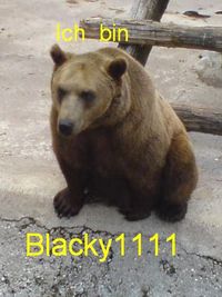 Blacky1111