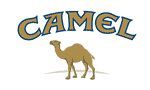 camel_01