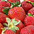 sweet_strawberry_97