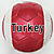 turkey_boy_