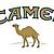 camel_01