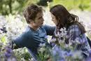 Twilight  (Biss zum Morgengrauen)  - 