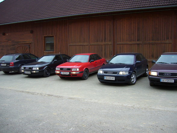 << Erste - Wolferner - Audi - Gang - 