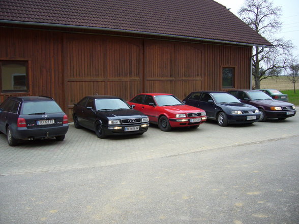 << Erste - Wolferner - Audi - Gang - 