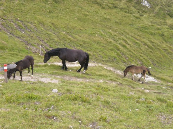 Des Wandern ist des ....... Lust - 