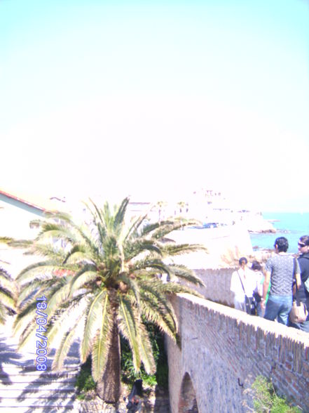 Antibes 2008 - 