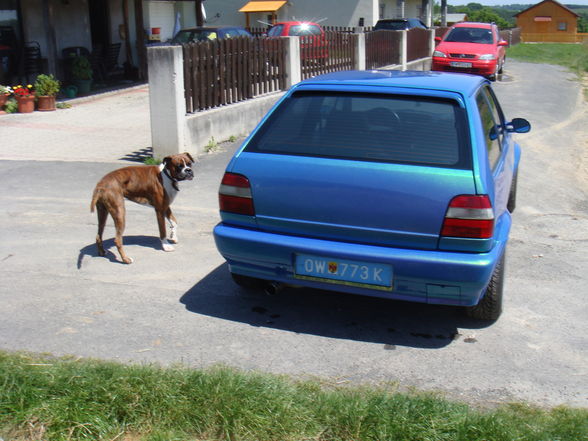 Polo G40 - 