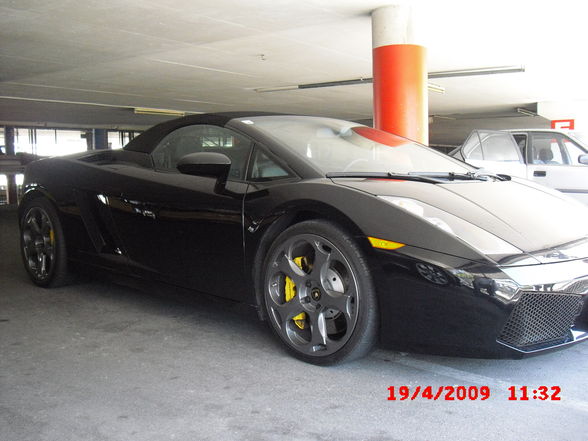 Gallardo - 