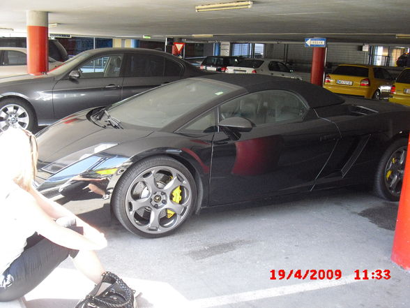 Gallardo - 