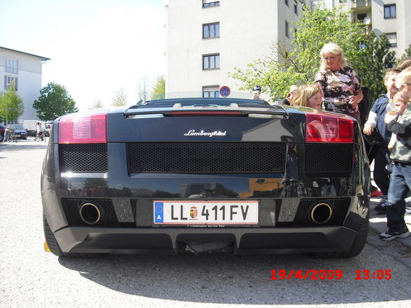 Gallardo - 