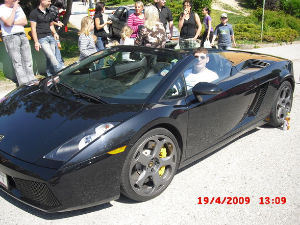 Gallardo - 