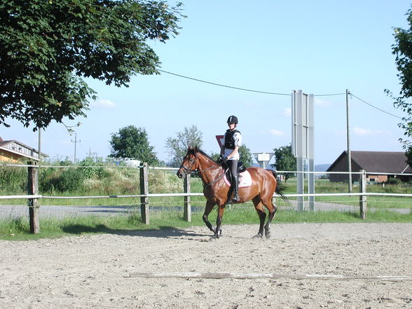 Reiten - 