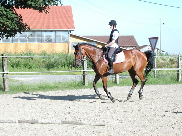 Reiten - 