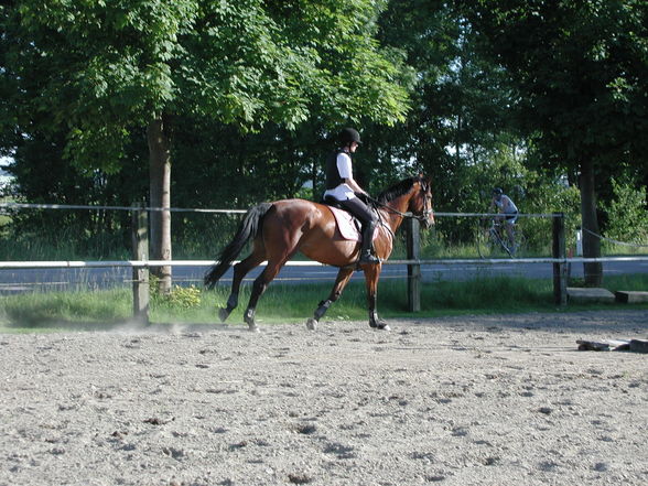 Reiten - 