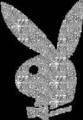 Sprüche und Playboybunnys!!!!!! - 