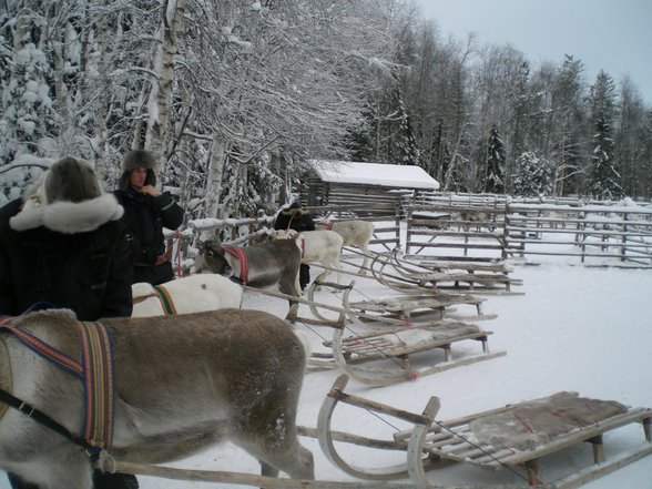 Lappland 2007 - 