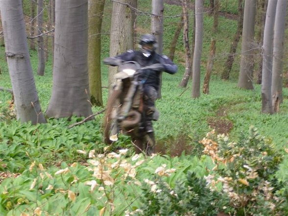 Enduro-Ungarn März'06 - 