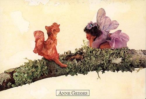 Anne Geddes - 