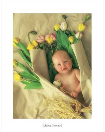 Anne Geddes - 