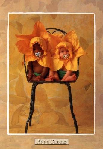 Anne Geddes - 