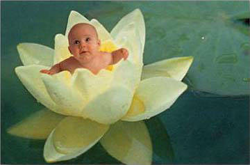 Anne Geddes - 