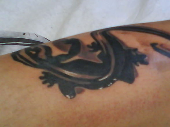 My Tattoo - 