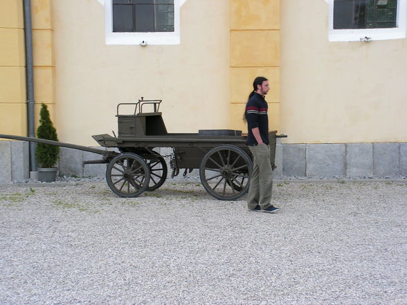 Dragoner 4 Riet von Enns nach Regensburg - 