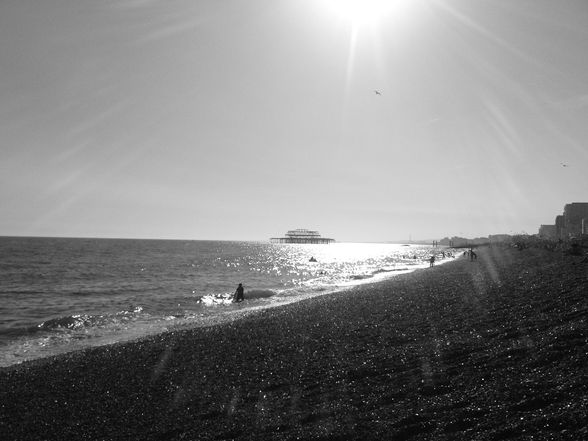 Brighton - 