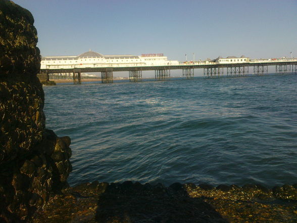 Brighton - 