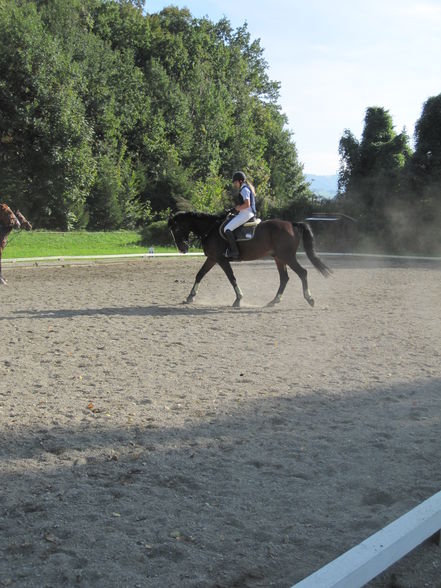 Besuch bei da Nadsch am Turnier - 