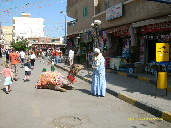 Hurghada/Ägypten & Jesolo/Italy - 