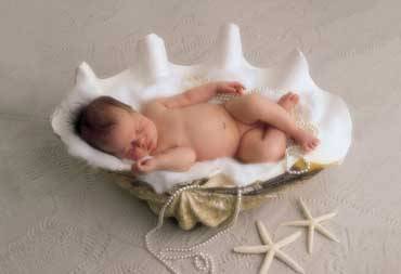 Anne Geddes - 