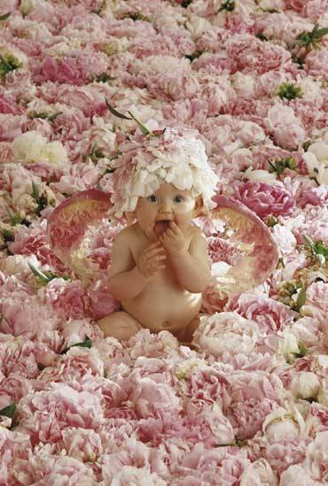 Anne Geddes - 