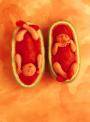 Anne Geddes - 