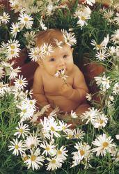 Anne Geddes - 