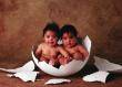 Anne Geddes - 