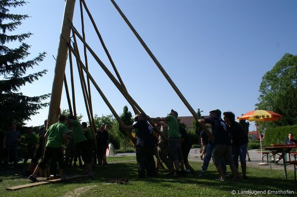 Maibaum zurückbringen  - 