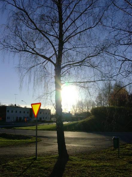 Landschaftsfotos Schweden - 