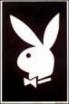 Playboybunnys - 