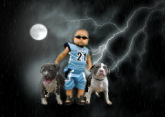 MY PITBULL GANGSTA - 