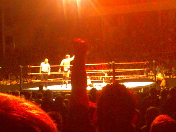 Wrestlemania Revenge Tour Linz 2008 - 