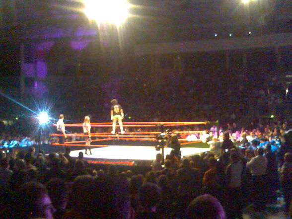 Wrestlemania Revenge Tour Linz 2008 - 