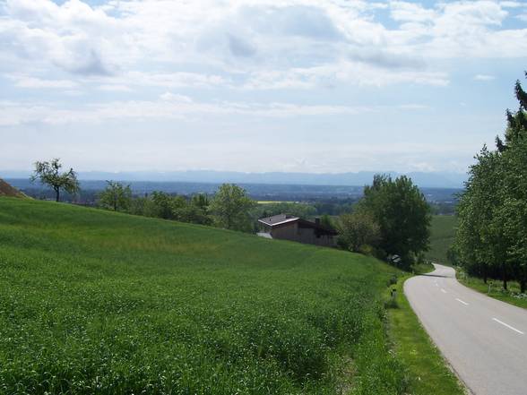 Ruine Schaunburg - 